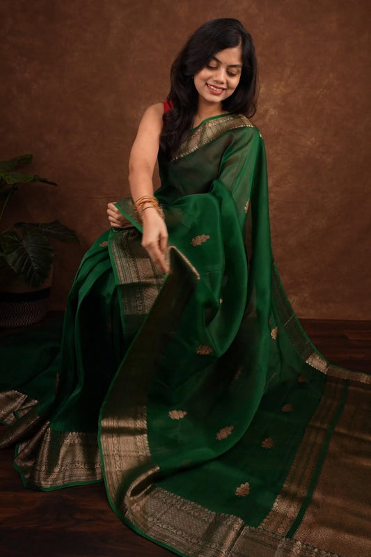 Sheer Green Silk Saree